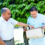 मुख्यमंत्री धामी ने निर्देश दिए कि वन क्षेत्रों में बी-बॉक्स की स्थापना के लिए एक प्रभावी नीति तैयार की जाए, जिससे स्थानीय लोगों को रोजगार के अवसर मिल सकें